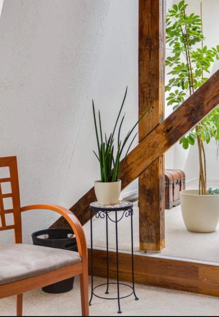 Lenka'S Cozy Red Studio + Lenka'S Cozy Gold Apartment Praga Exterior foto